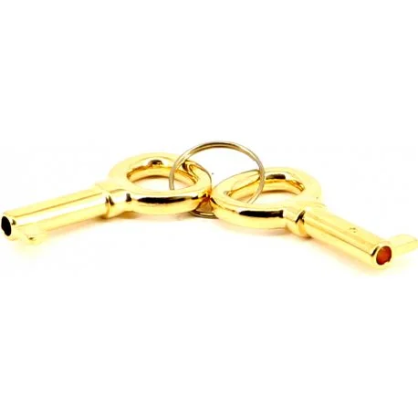 Standardschlüssel Ersatzteil für adorini Deluxe Humidore gold