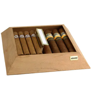 Tablar für adorini Humidor Pyramid M Deluxe Foto 7