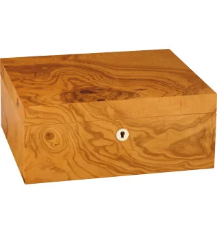 adorini Humidor Salento Olivenholz Medium Deluxe