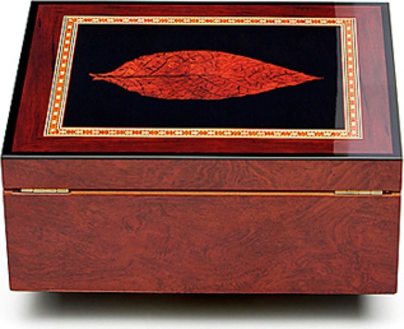 adorini Venezia Deluxe Humidor KOSTENLOSER Versand